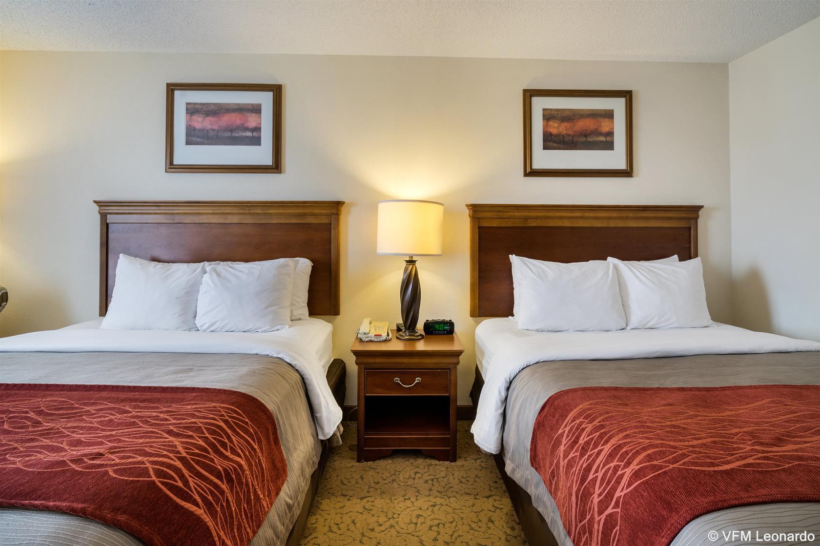 Comfort Inn & Suites Dover Bagian luar foto