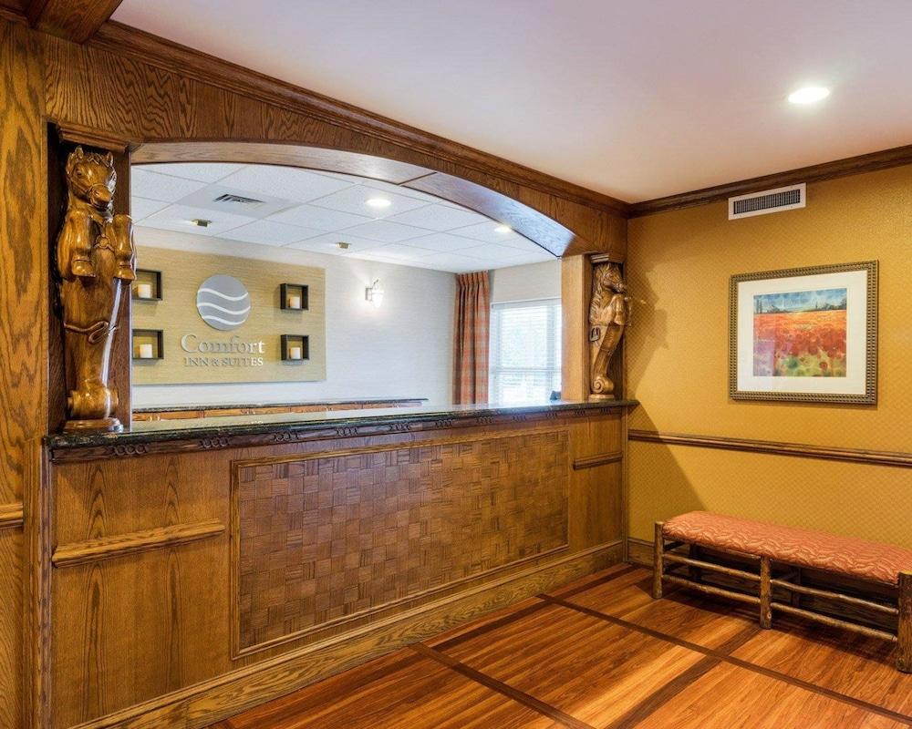 Comfort Inn & Suites Dover Bagian luar foto